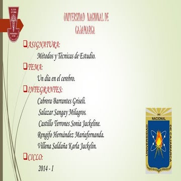 Diapositivas de la exposicion de "el cerebro"
