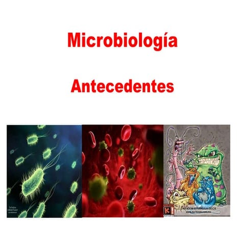Diapositivas microbiologia