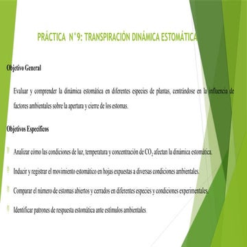 DIAPOSITIVAS N° 9 DINÁMICA ESTOMÁTICA.pptx