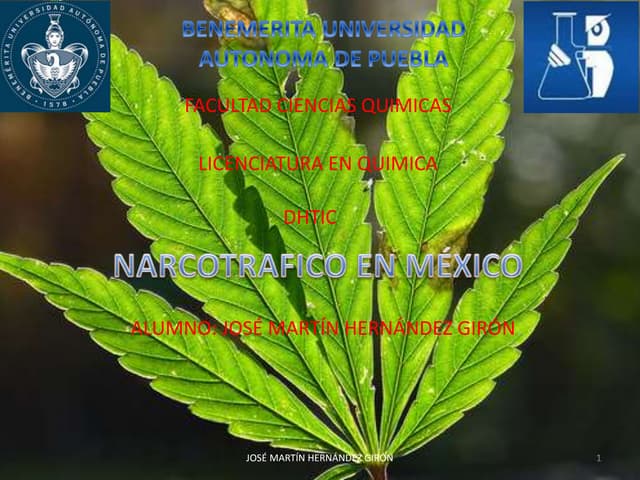 Diapositivas narcotrafico