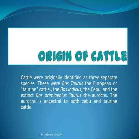 Diapositivas origin of cattle