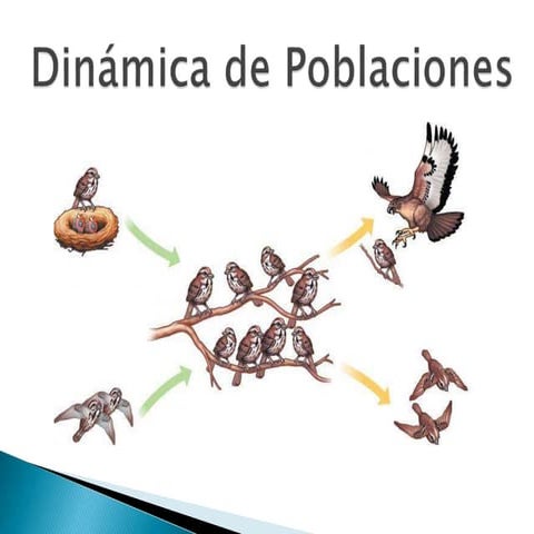 diapositivas poblaciones.pptx