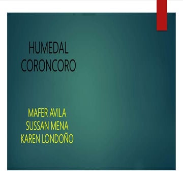 PROBLEMÁTICA HUMEDAL EL CORONCORO