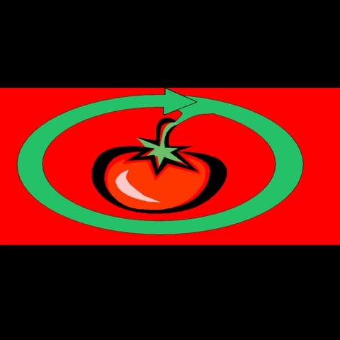 Diapositivas proyecto 323