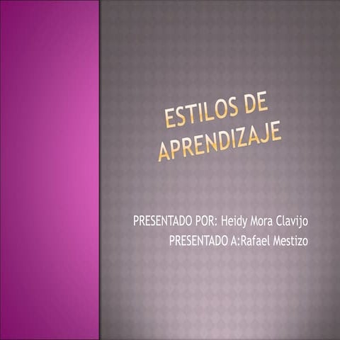 Estilos de aprendizaje y proyecto de vida!!