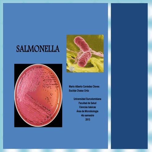 Diapositivas salmonella..