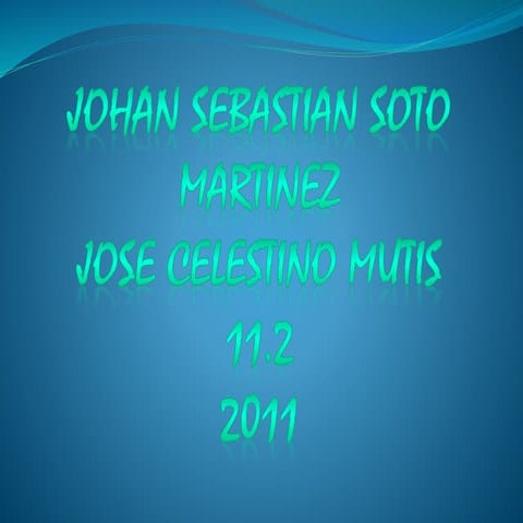 Diapositivas sebastian