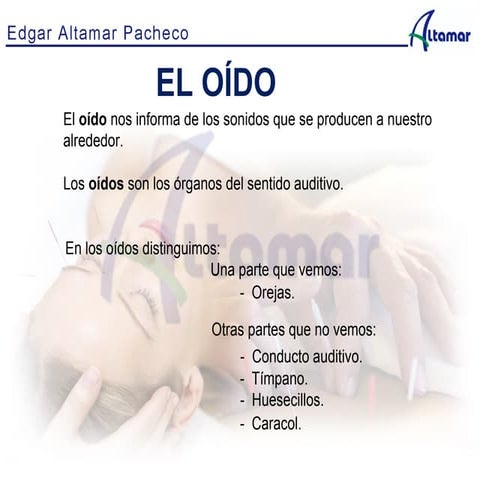 Diapositivas sentidos 3