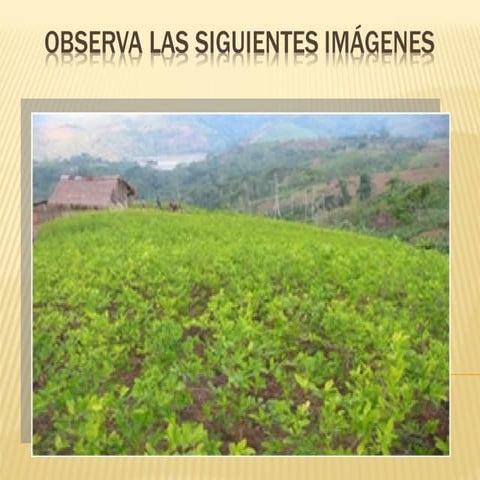 Diapositivas sesion 12