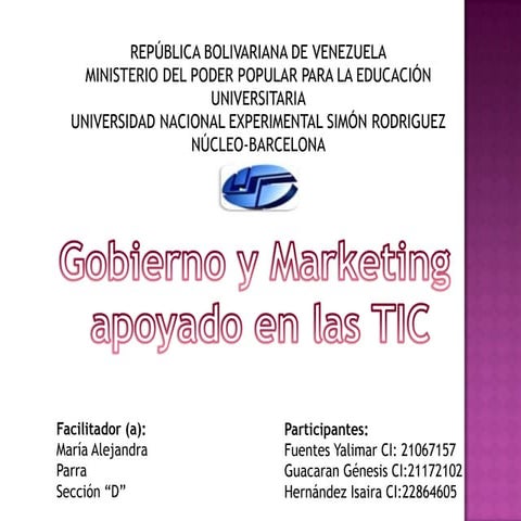 gobierno y marketing apoyado en las tic