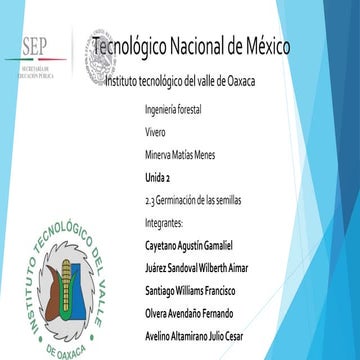 Diapositivas viveros