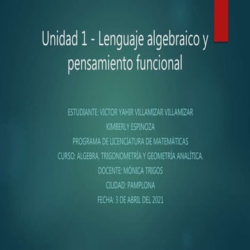 Diapositivas yahir villamizar