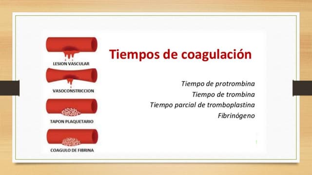TP y TPT | PPT