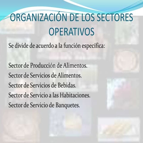 Diaposositivas 1 y 3