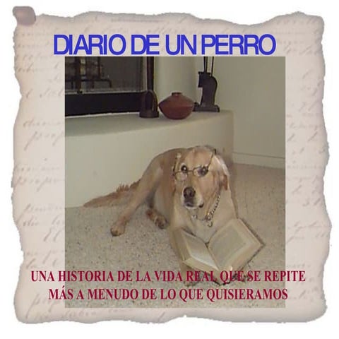 Diario De Un Perro