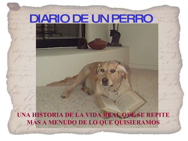 Diario De Un Perro