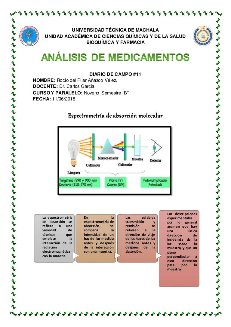 Diario de campo 11