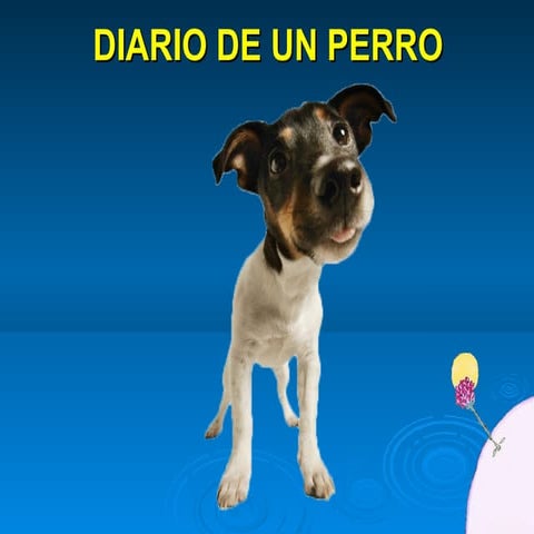 Diario de un perro