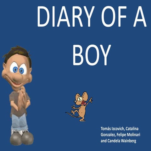 Diary of a boy  