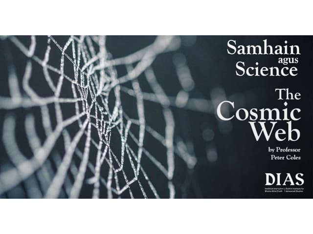 The Cosmic Web