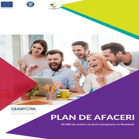 DiasporaUngaria Plan de afaceri