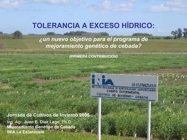 Diaz tolerancia a eh en cebada  inia 2005
