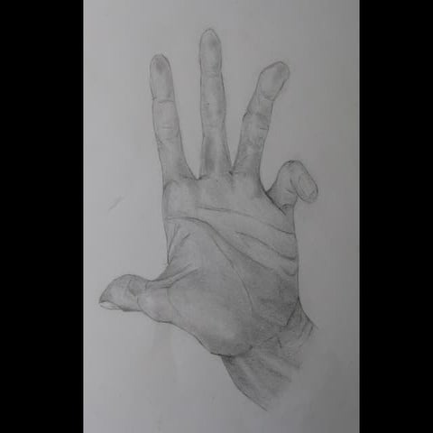 Dibuix observació mans