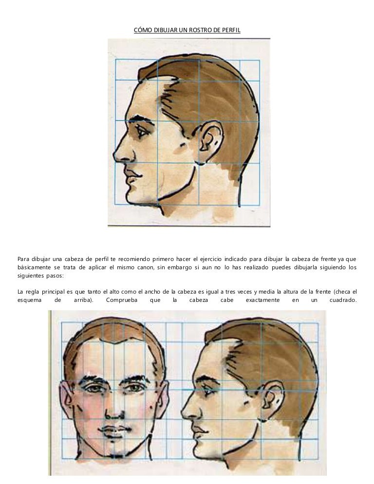 Dibujar Rostro Perfil