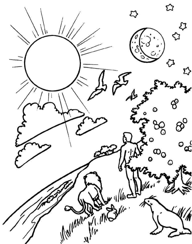 Dibujos De La Biblia Para Colorear