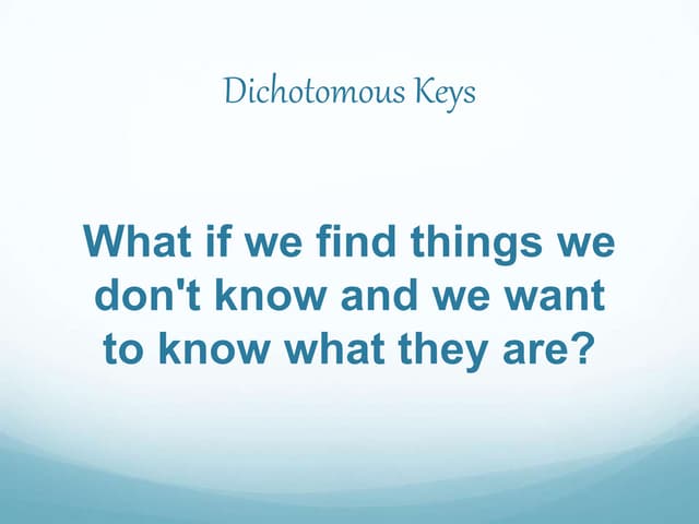 Dichotomous key presentation suitable for  IGCSE Biology level