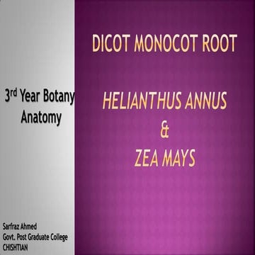 Anatomy of Dicot monocot root