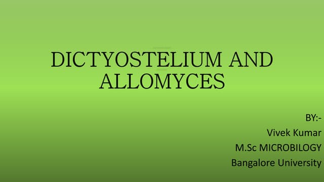 DICTYOSTELIUM AND ALLOMYCES