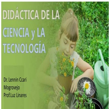 Tema 04: La Didáctica en la Enseñanza de La Física