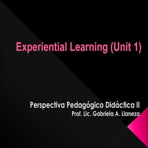 Didáctica ll unit 1 2013