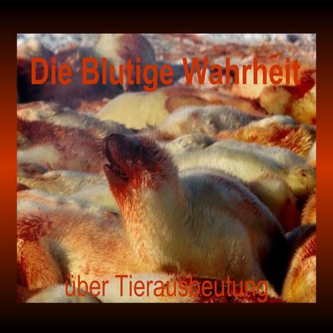 Die Blutige Wahrheit (Teil1)