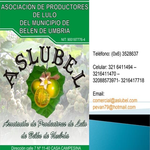 Diego Echeverri - Presentación Taller Talentos Rurales (Chile, 2014)