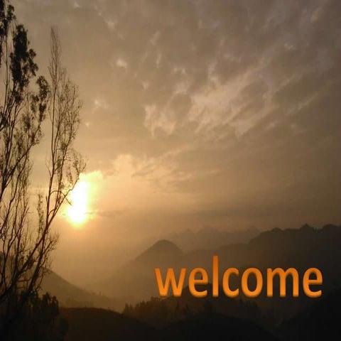 Diels alder reaction