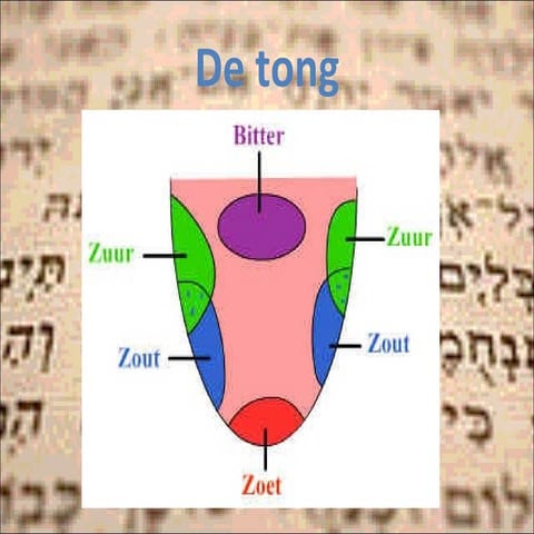 Thema predikatie: de tong