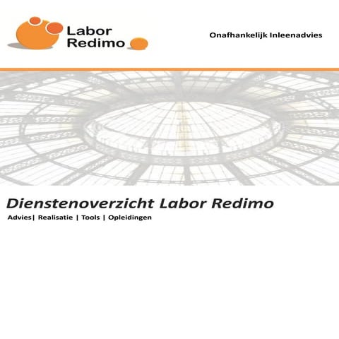 Labor redimo model- inleenvolwassenheidsmodel | PDF