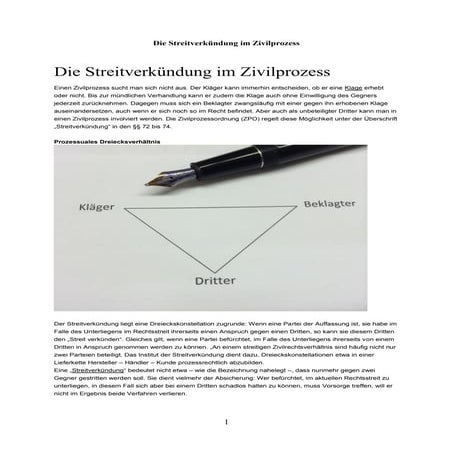 Die Streitverkündung im Zivilprozess