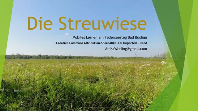 Die Streuwiese