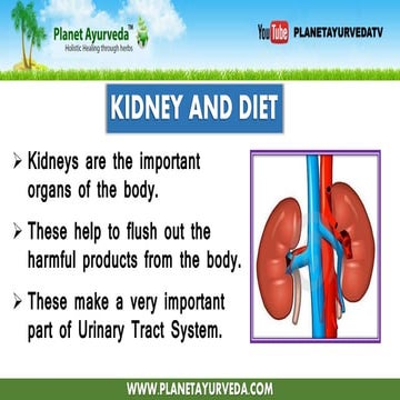 Diet in kidney failure