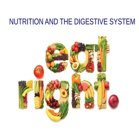 Diet and digestive system 