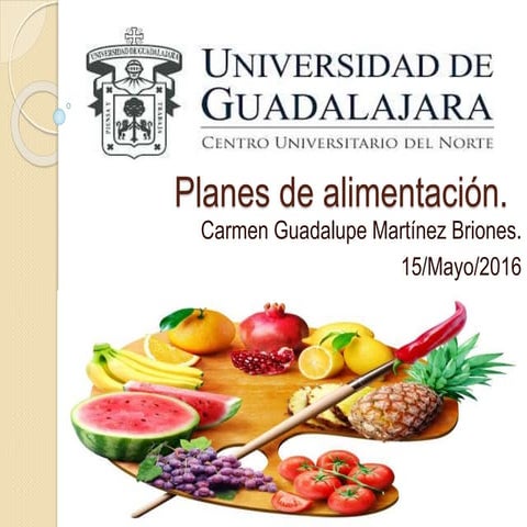 Planes de alimentacion
