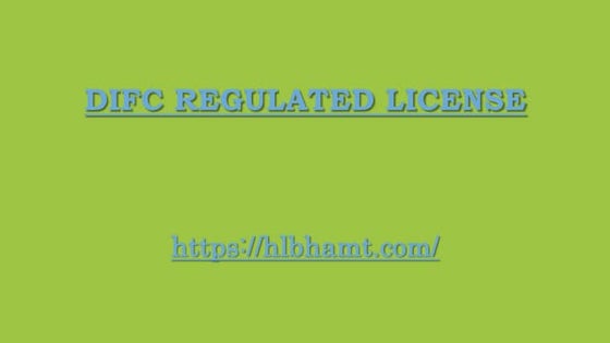 Donor Audits.pptx