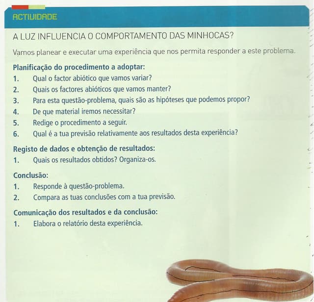 Diferença entre manuais escolares
