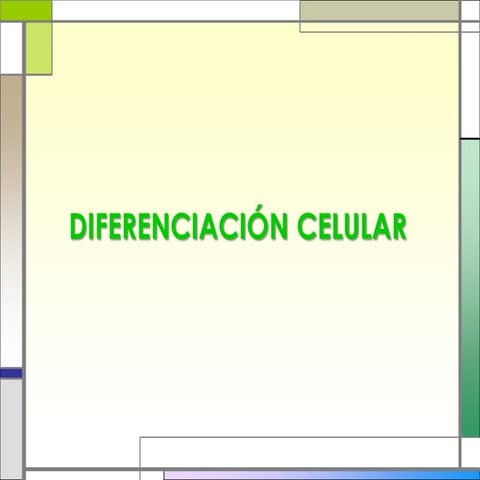 Diferenciación celular 2012