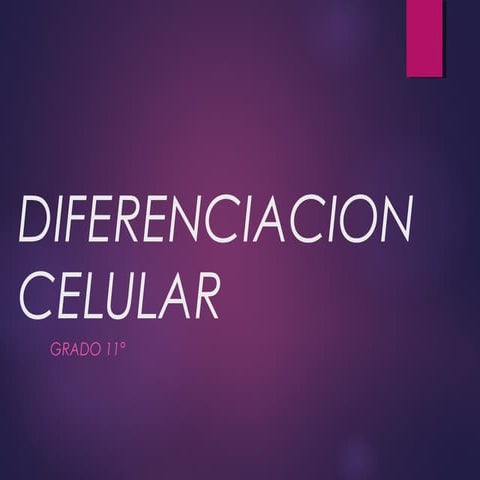 Diferenciación celular