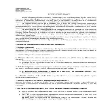 Diferenciacion celular 1º medio