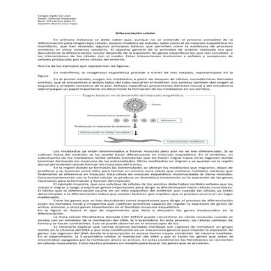 Diferenciaciondelmusculo y comuc
